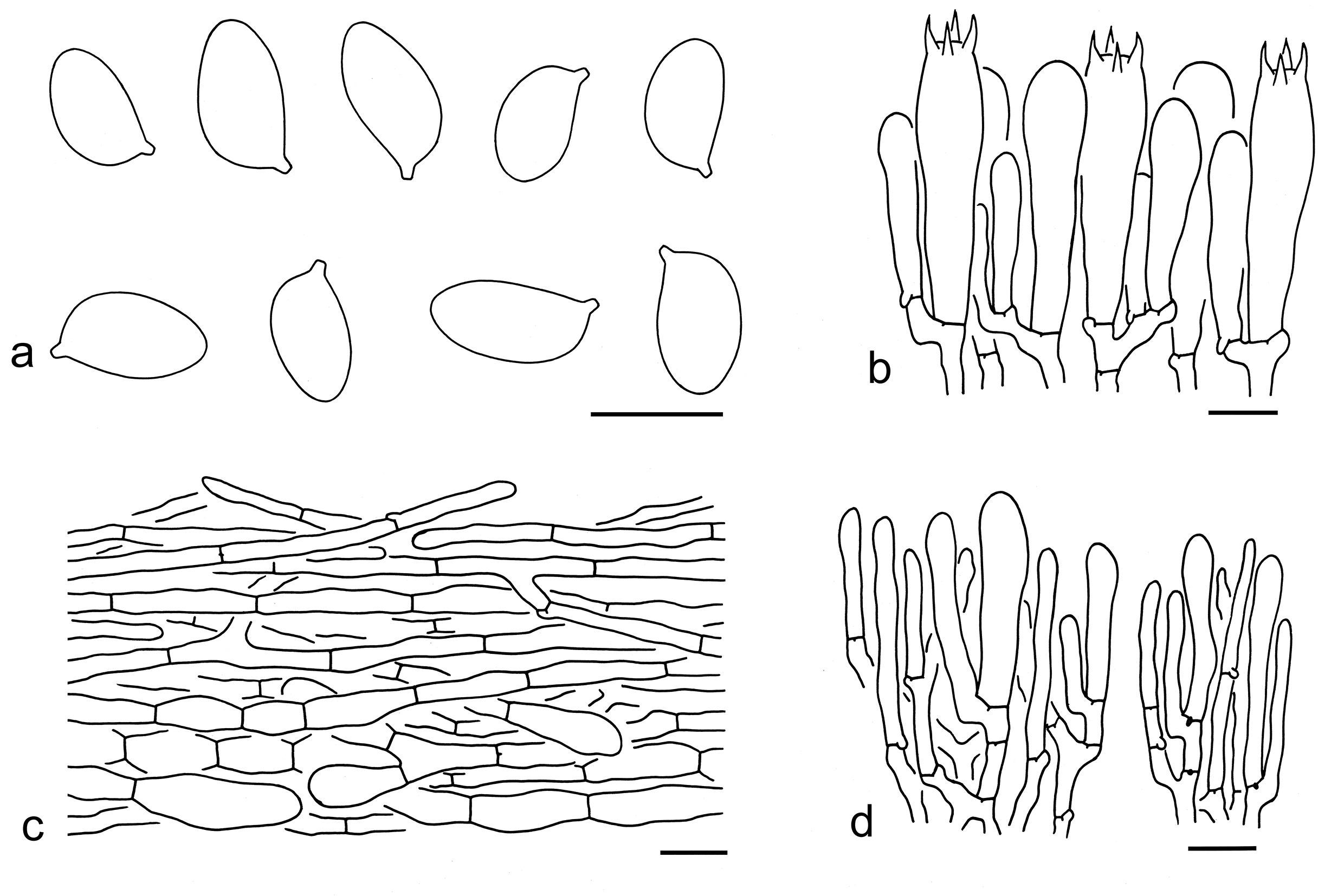 Figure 84